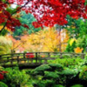 Meet your Posher, Rabbit